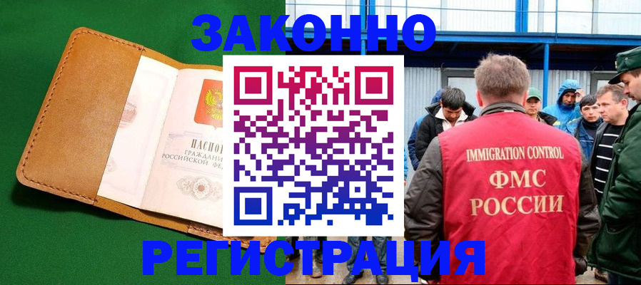 прописка 2025 в Елизово